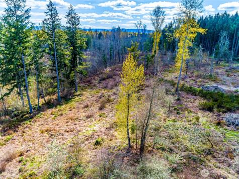 0 40th Avenue S Roy WA 98580