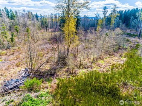 0 40th Avenue S Roy WA 98580