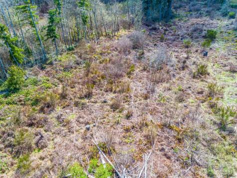 0 40th Avenue S Roy WA 98580