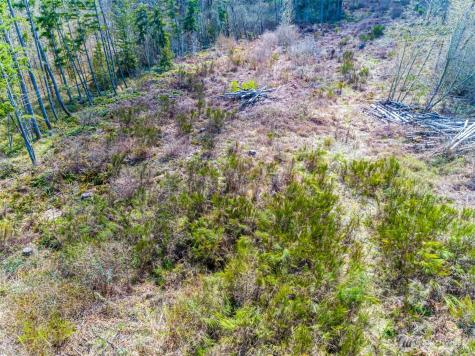 0 40th Avenue S Roy WA 98580