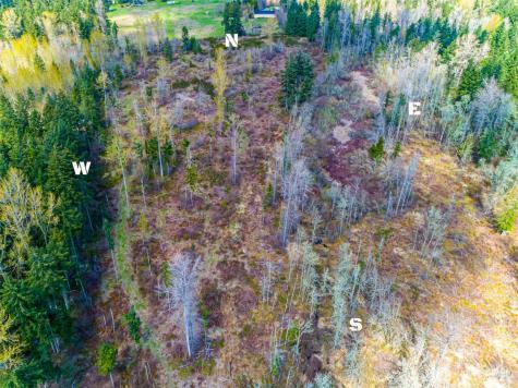 0 40th Avenue S Roy WA 98580