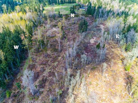 0 40th Avenue S Roy WA 98580
