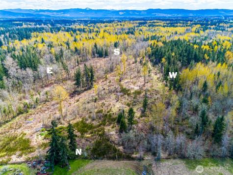 0 40th Avenue S Roy WA 98580