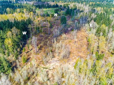 0 40th Avenue S Roy WA 98580