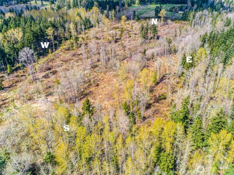0 40th Avenue S Roy WA 98580