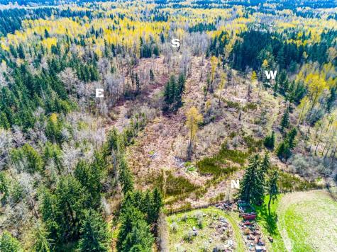 0 40th Avenue S Roy WA 98580