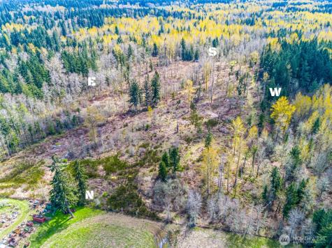 0 40th Avenue S Roy WA 98580