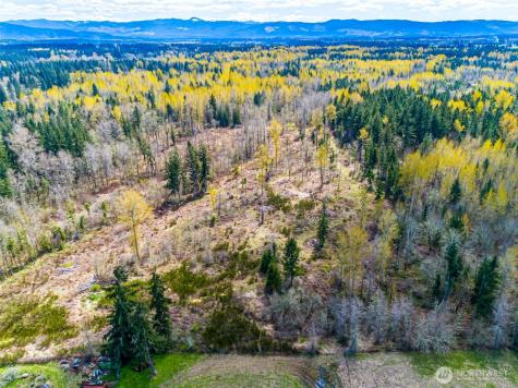 0 40th Avenue S Roy WA 98580