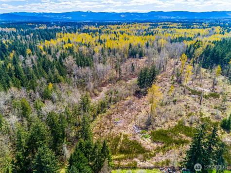 0 40th Avenue S Roy WA 98580