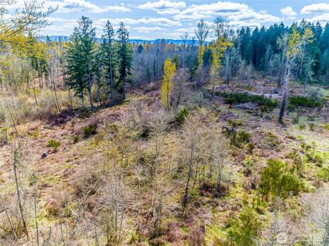 0 40th Avenue S Roy WA 98580