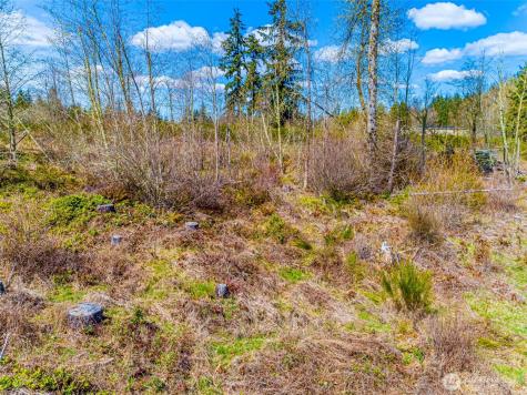 0 40th Avenue S Roy WA 98580