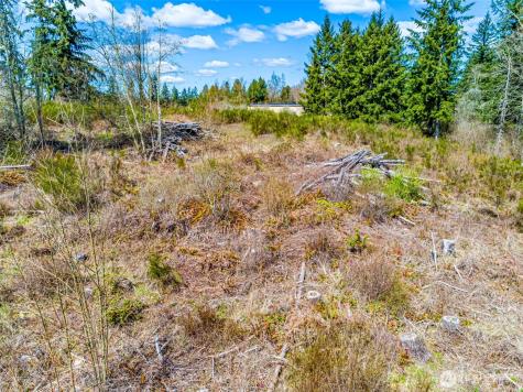 0 40th Avenue S Roy WA 98580