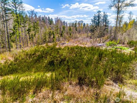 0 40th Avenue S Roy WA 98580