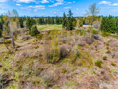0 40th Avenue S Roy WA 98580