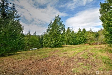 2100 S Camano Drive Camano Island WA 98282