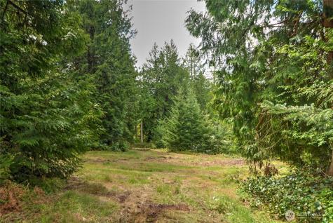 2100 S Camano Drive Camano Island WA 98282