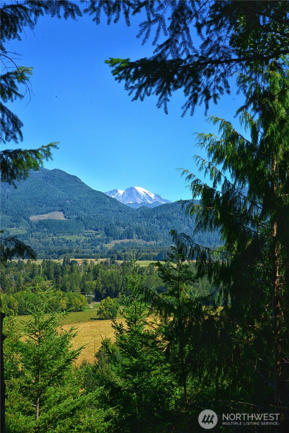3 Skinner Road Randle WA 98377
