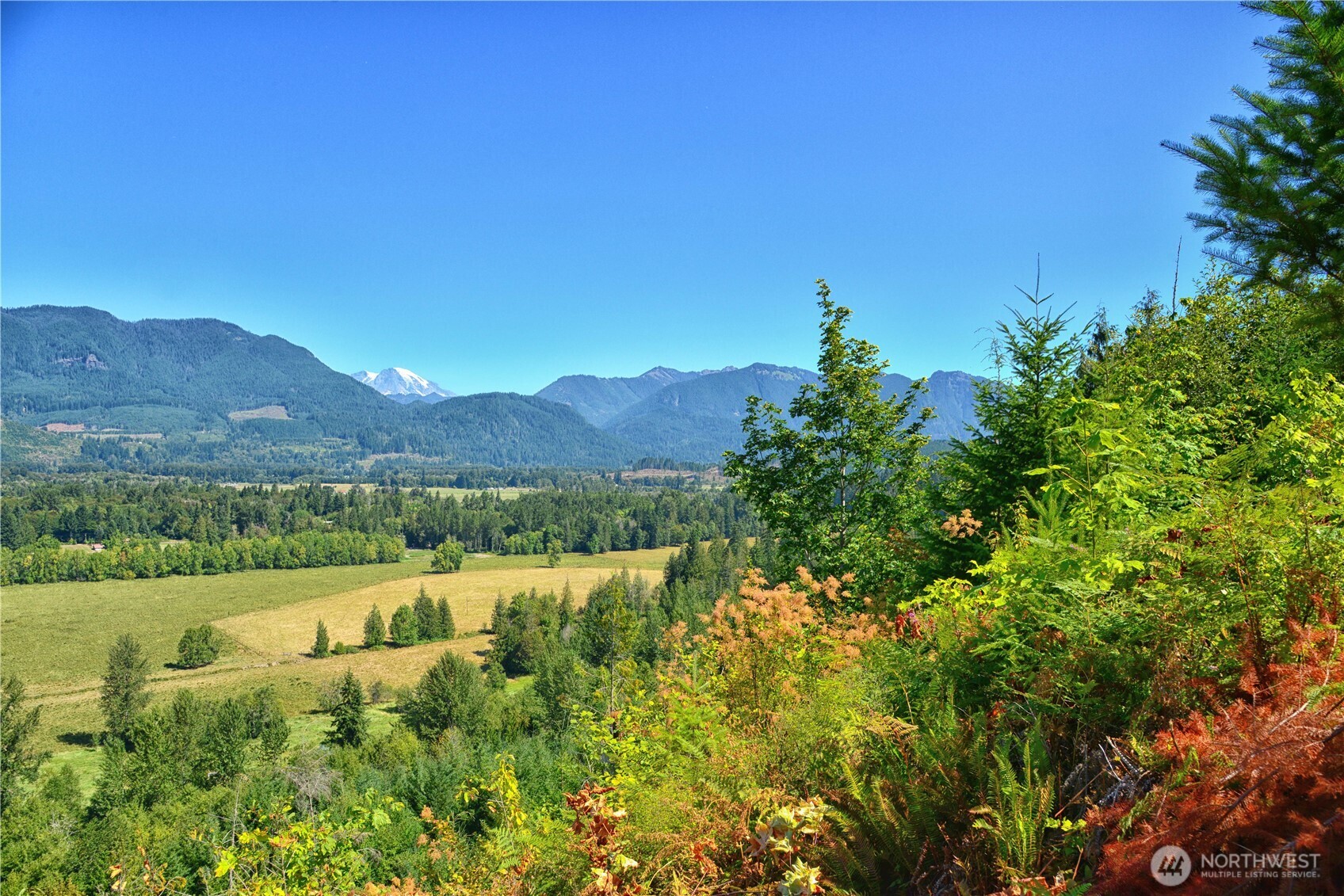 3 Skinner Road Randle WA 98377