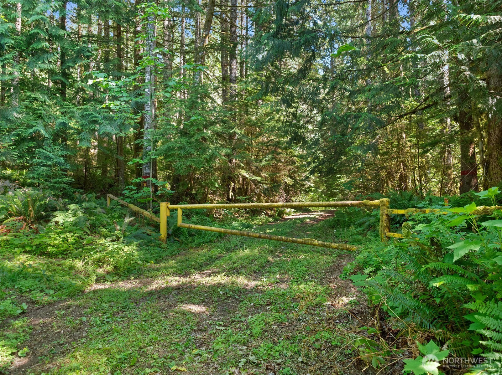 3 Skinner Road Randle WA 98377