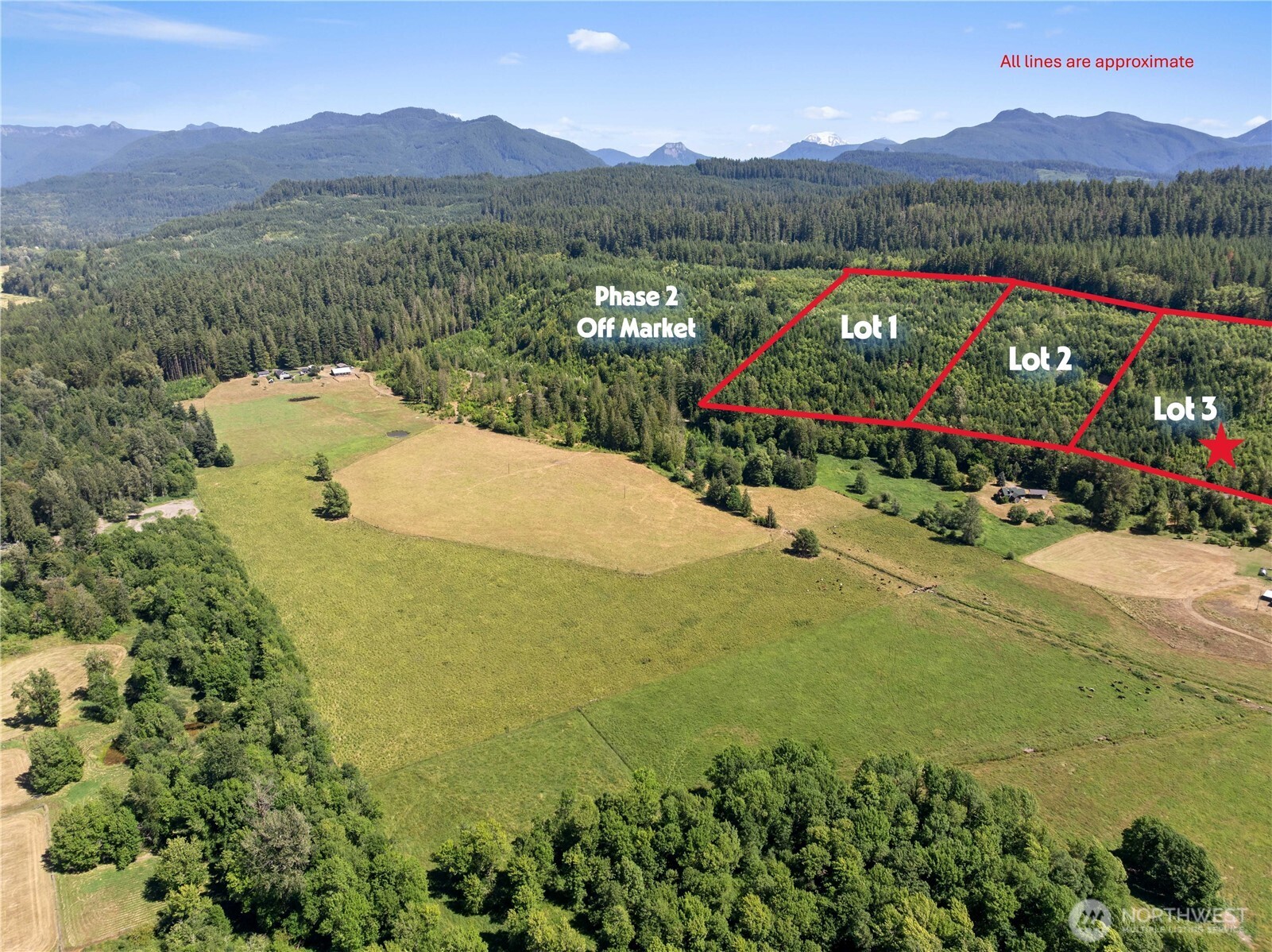 3 Skinner Road Randle WA 98377