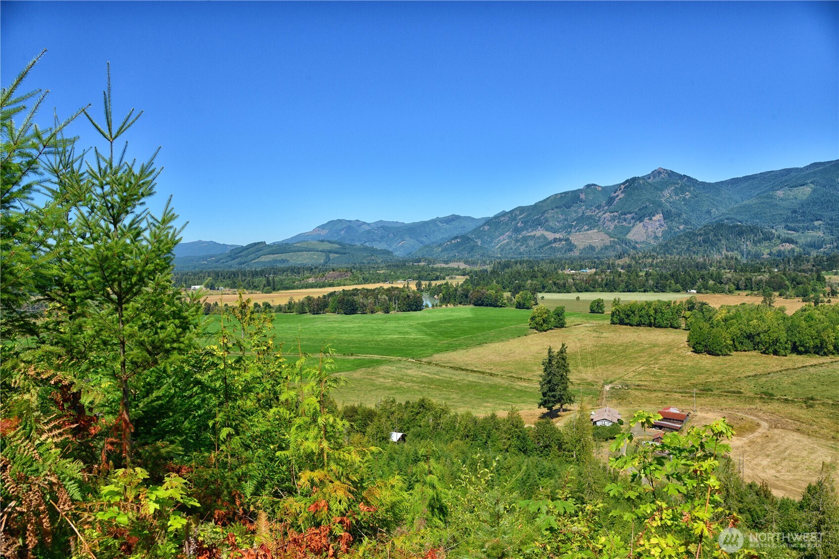 3 Skinner Road Randle WA 98377