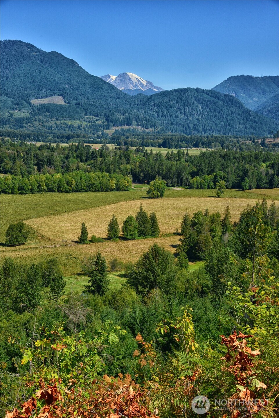 3 Skinner Road Randle WA 98377