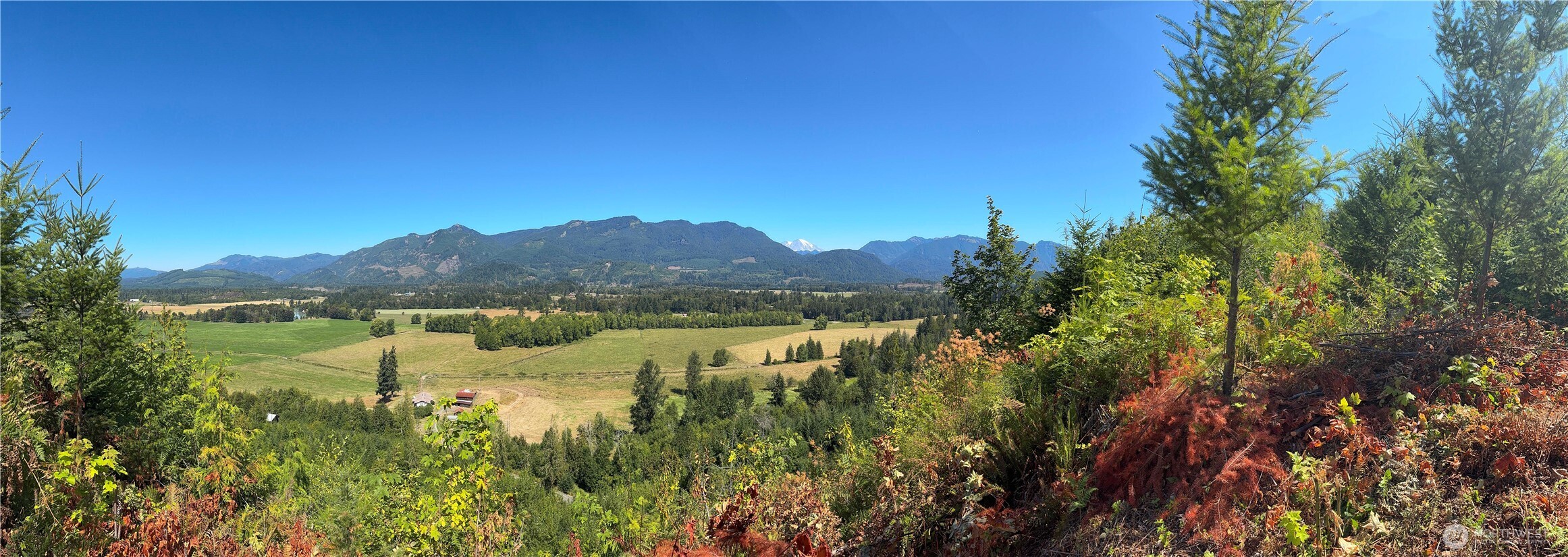 3 Skinner Road Randle WA 98377