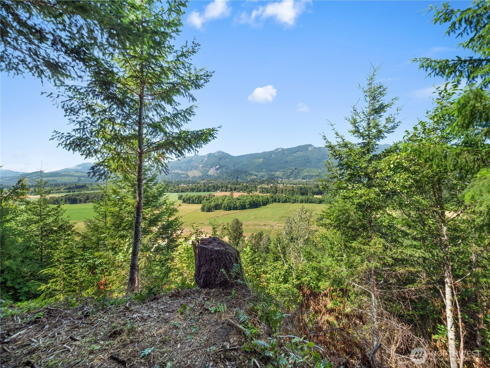 3 Skinner Road Randle WA 98377