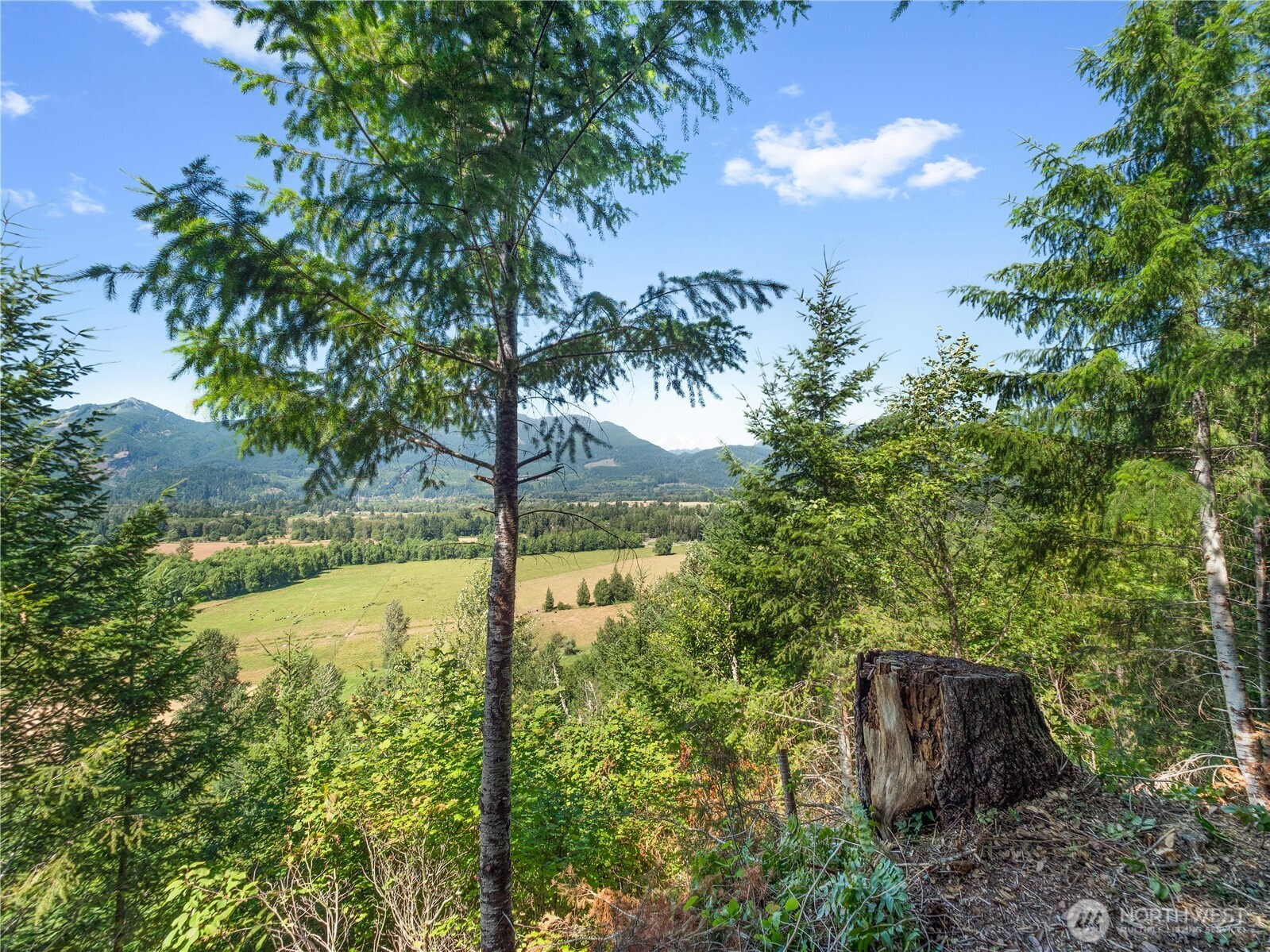 3 Skinner Road Randle WA 98377