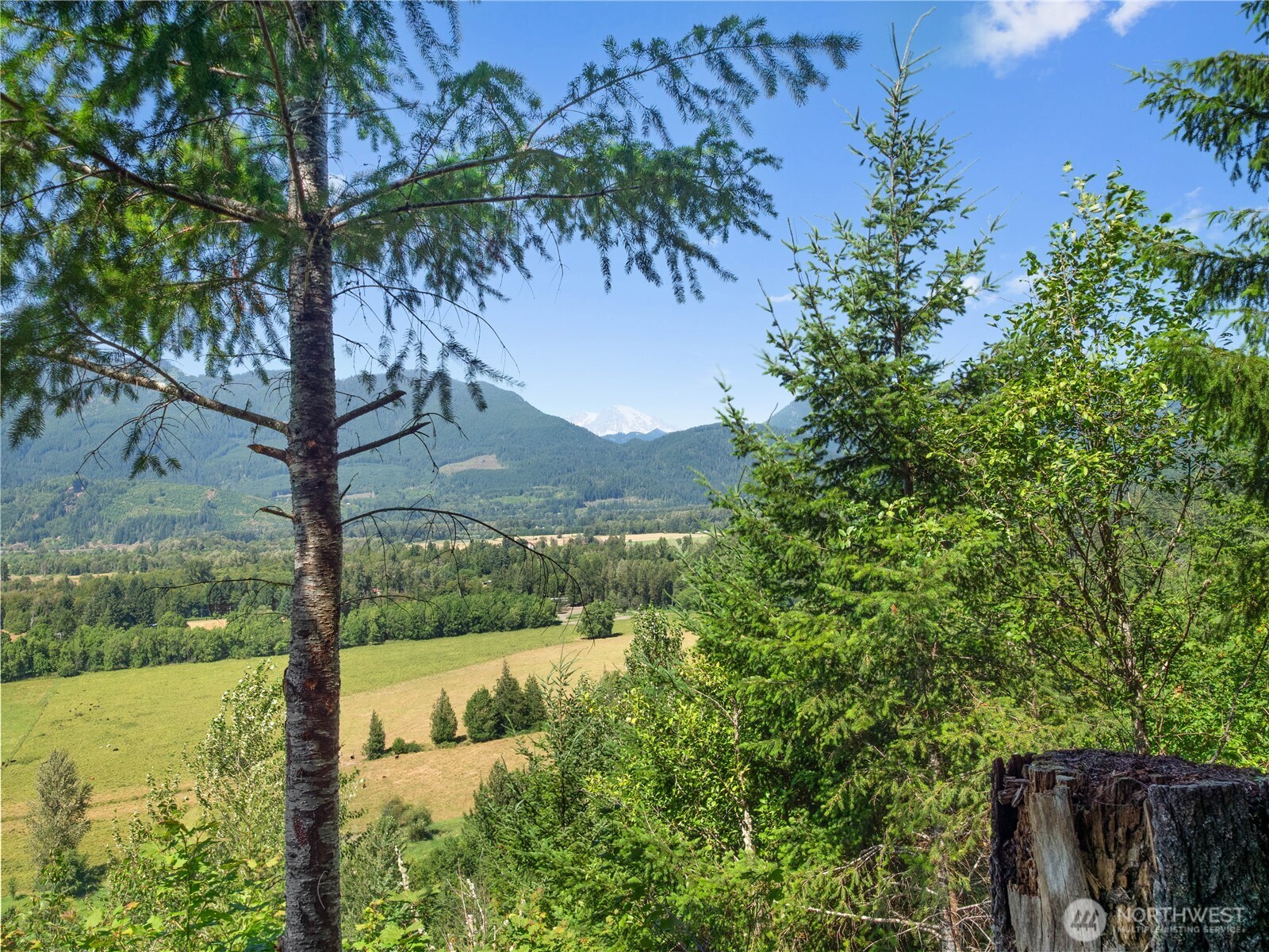 3 Skinner Road Randle WA 98377