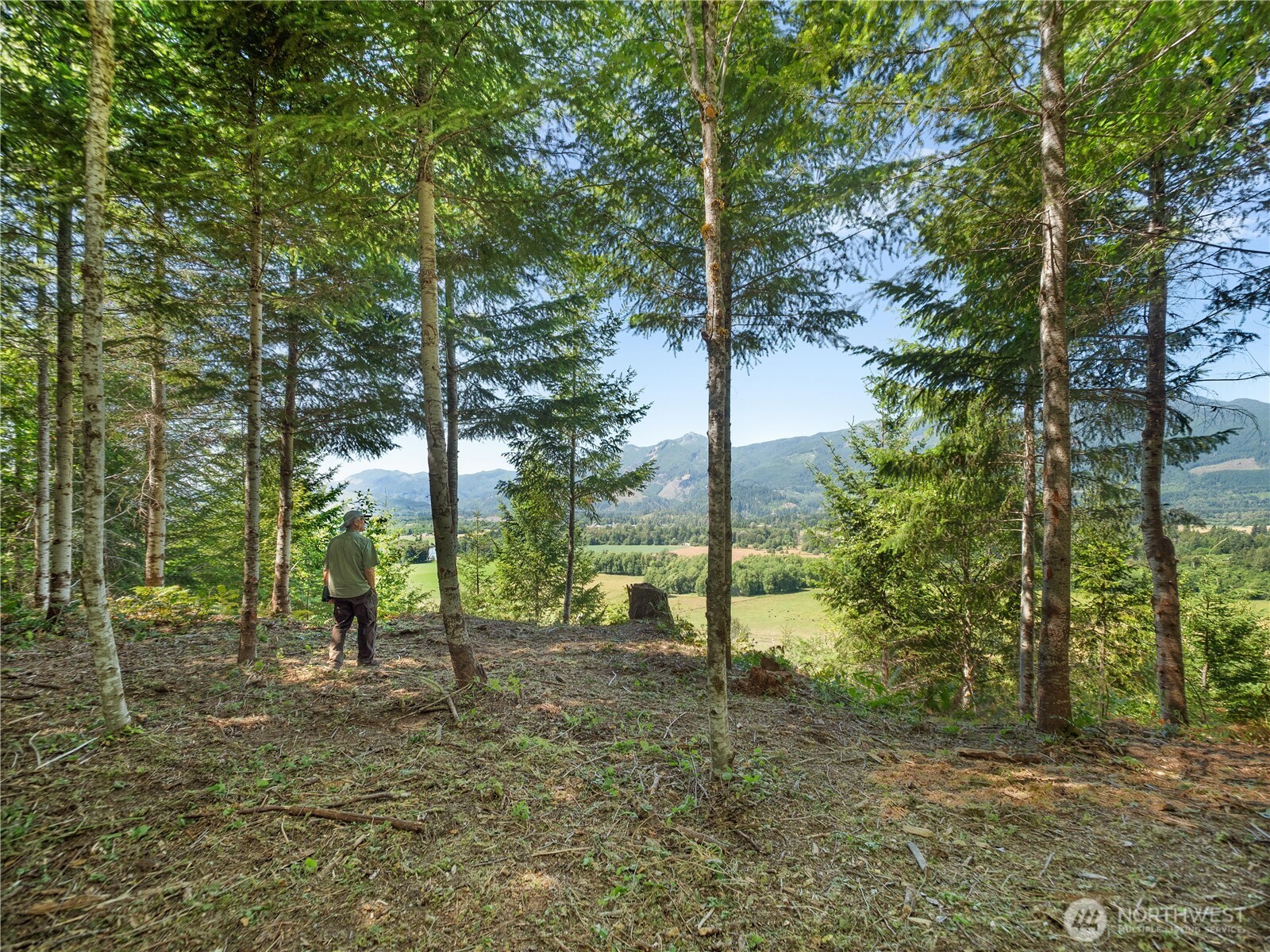 3 Skinner Road Randle WA 98377