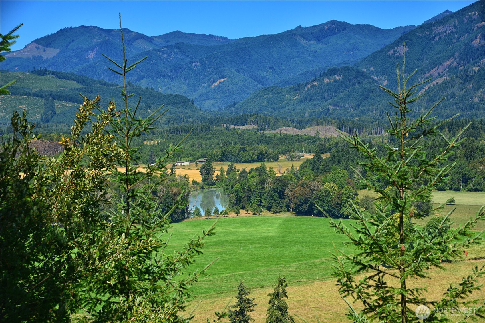 3 Skinner Road Randle WA 98377