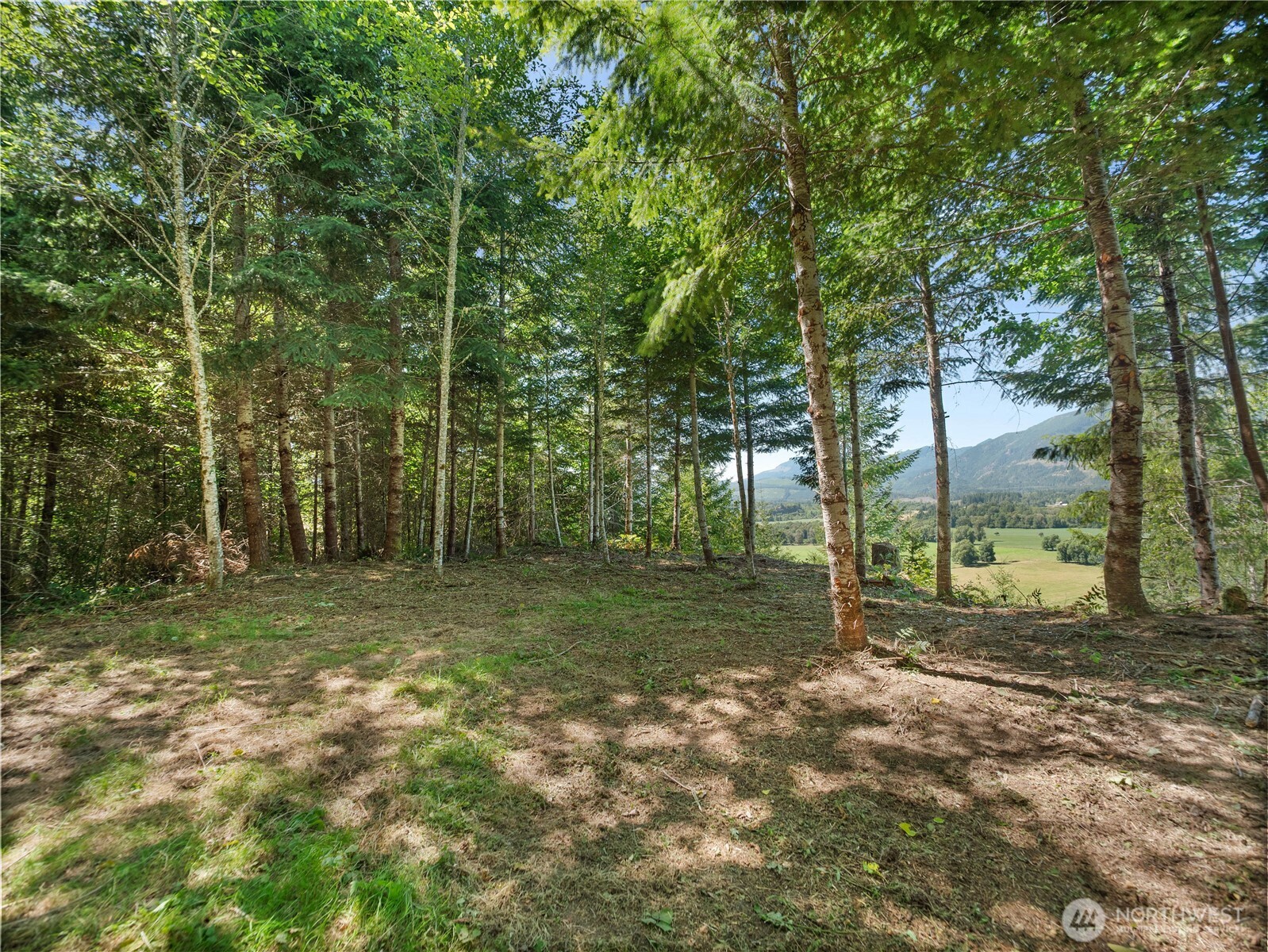 3 Skinner Road Randle WA 98377