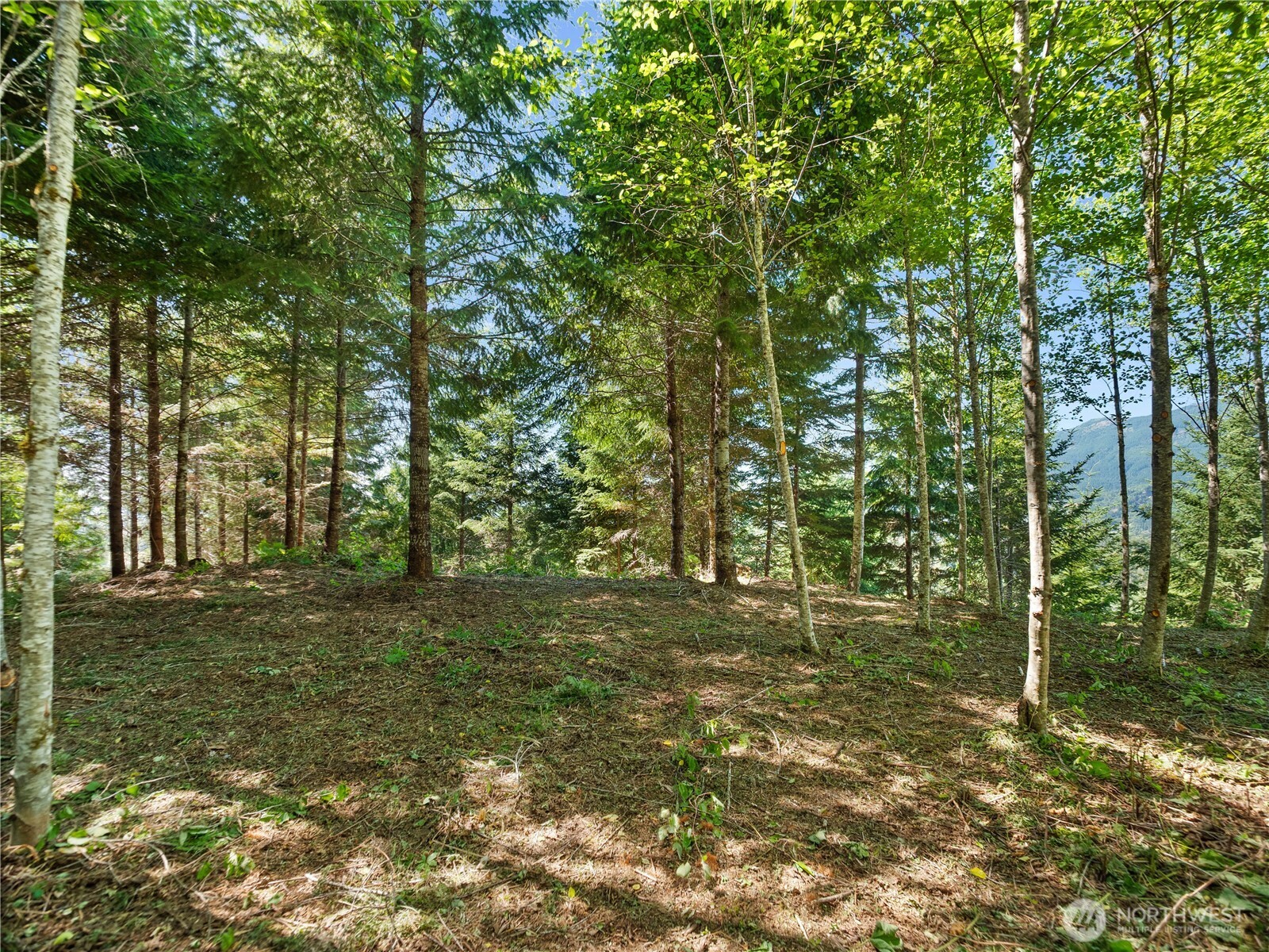 3 Skinner Road Randle WA 98377