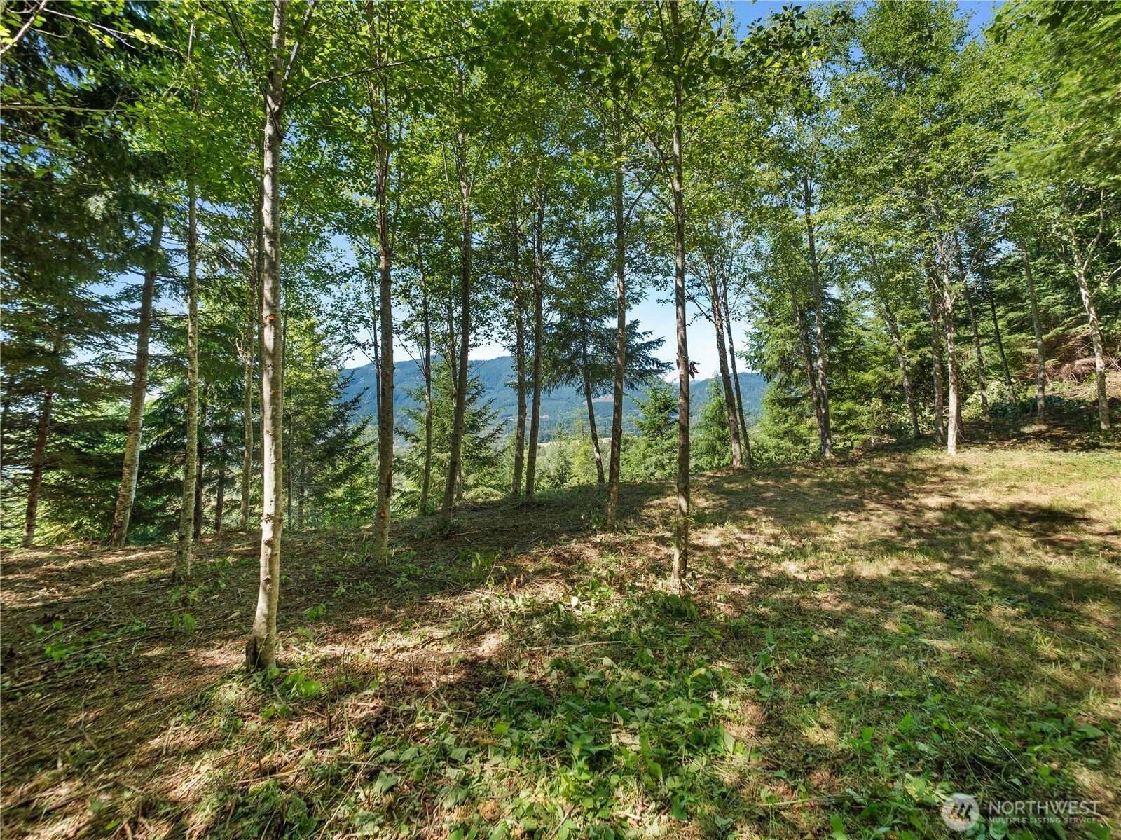 3 Skinner Road Randle WA 98377