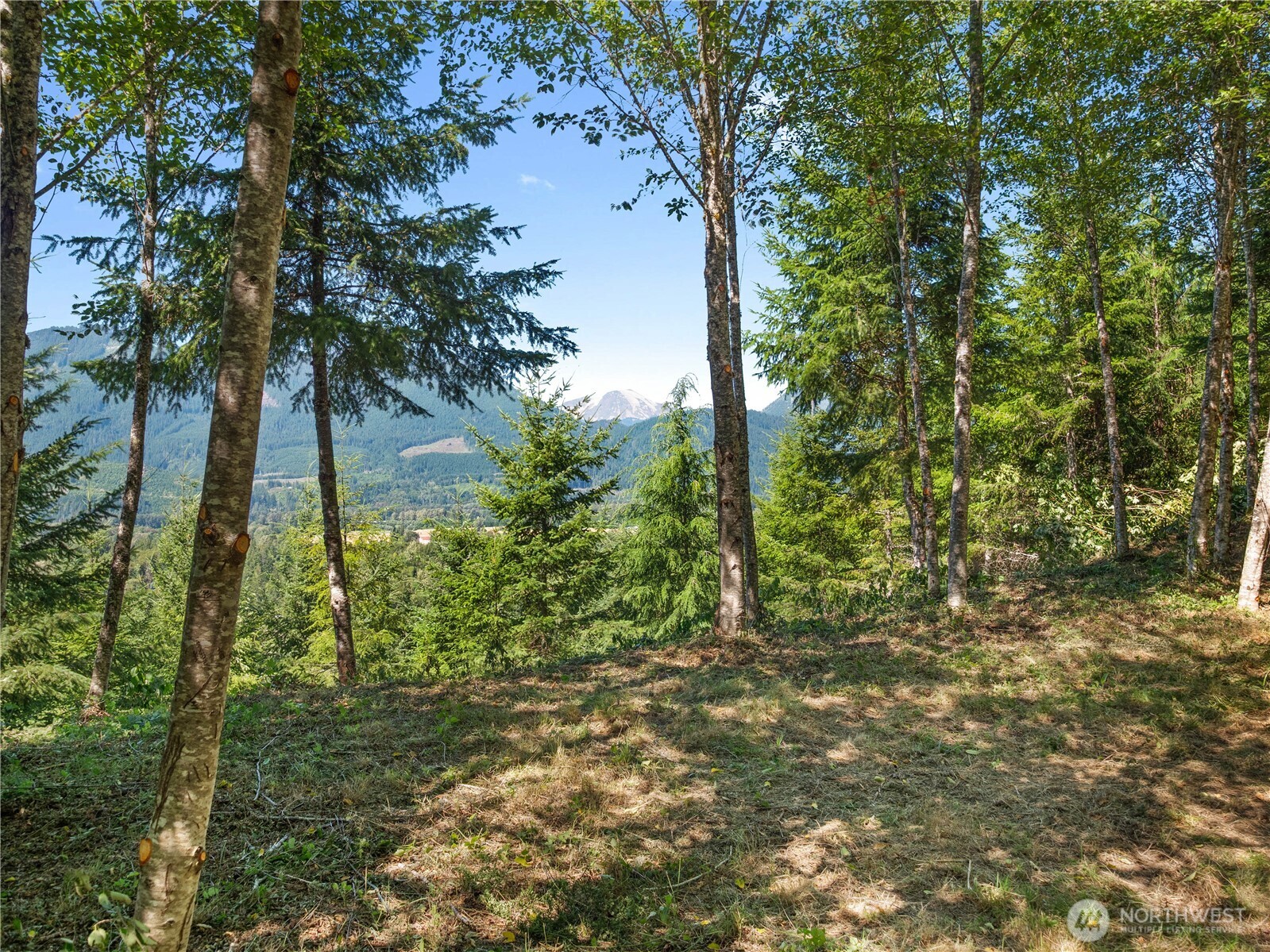 3 Skinner Road Randle WA 98377