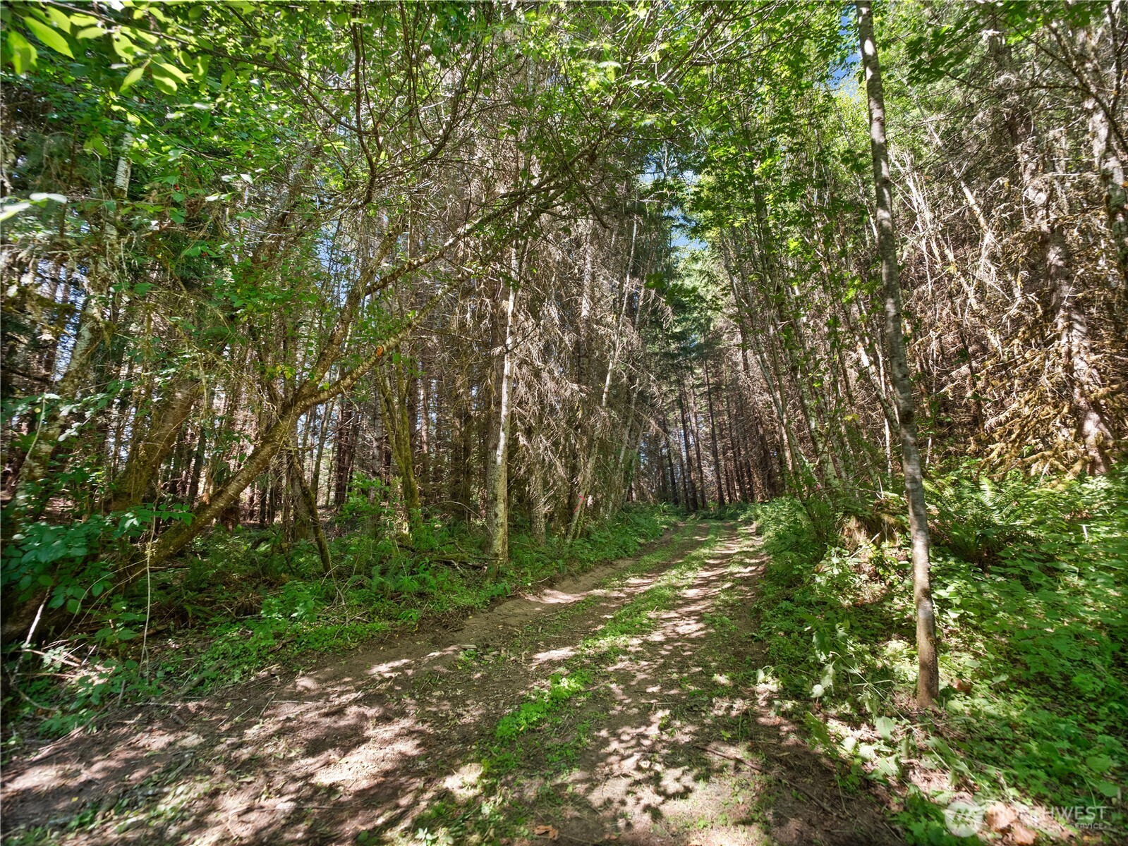 3 Skinner Road Randle WA 98377