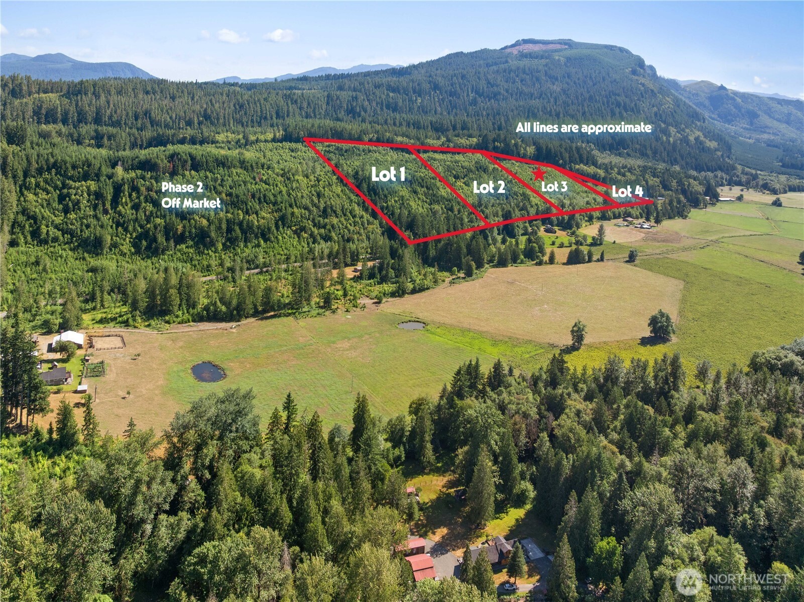3 Skinner Road Randle WA 98377