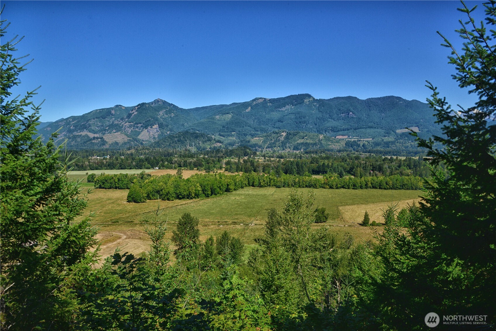 3 Skinner Road Randle WA 98377