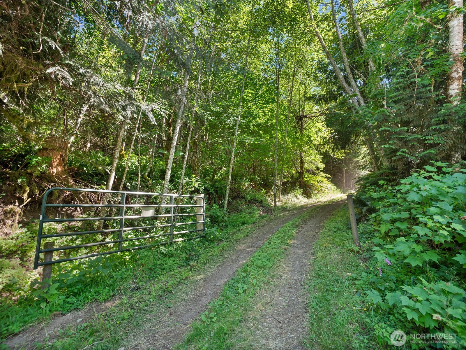 3 Skinner Road Randle WA 98377