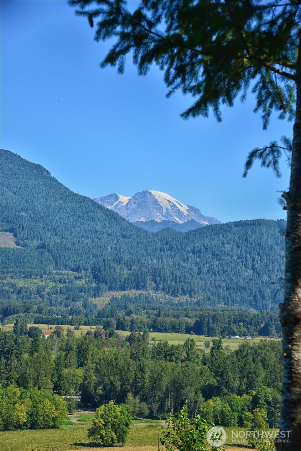 3 Skinner Road Randle WA 98377