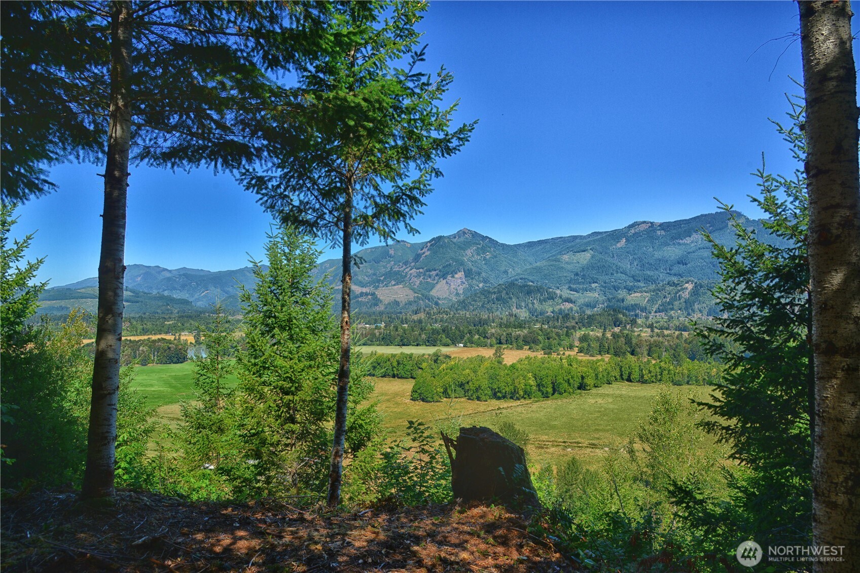 3 Skinner Road Randle WA 98377