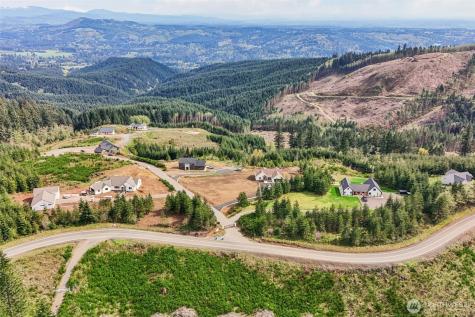 181 High Bank Lane Woodland WA 98674