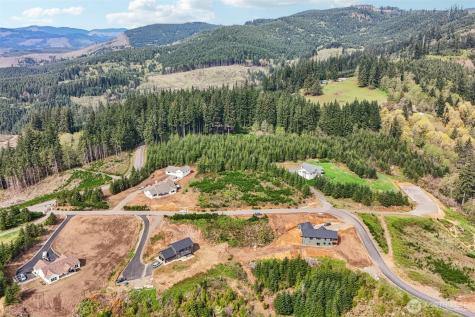 181 High Bank Lane Woodland WA 98674