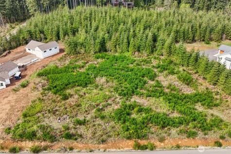 181 High Bank Lane Woodland WA 98674