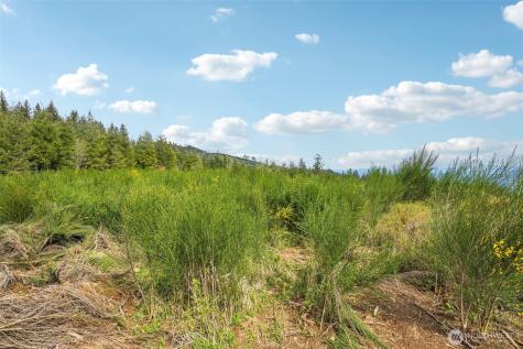 181 High Bank Lane Woodland WA 98674