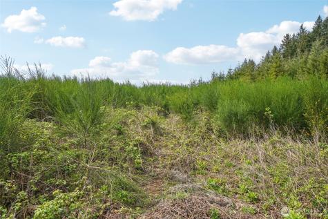 181 High Bank Lane Woodland WA 98674