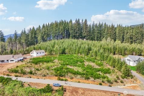 181 High Bank Lane Woodland WA 98674
