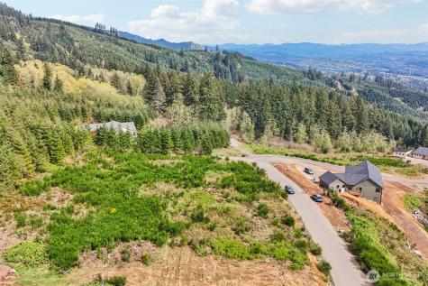 181 High Bank Lane Woodland WA 98674