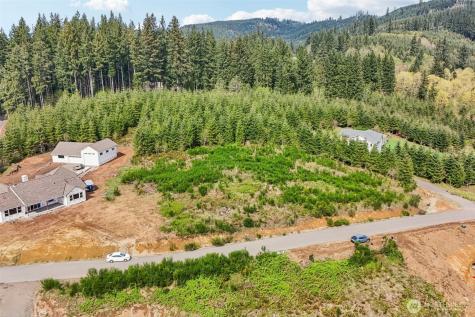 181 High Bank Lane Woodland WA 98674